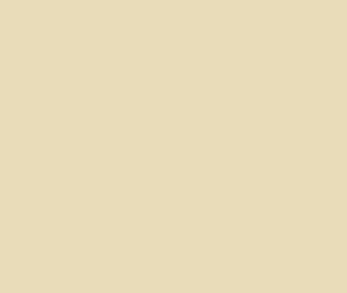 Standard Steel COLORBOND® Classic Cream™