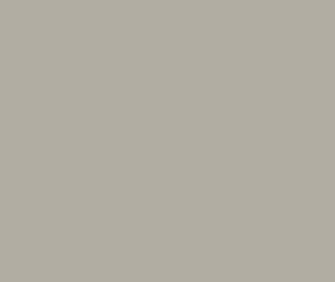 Standard Steel COLORBOND®  Dune®