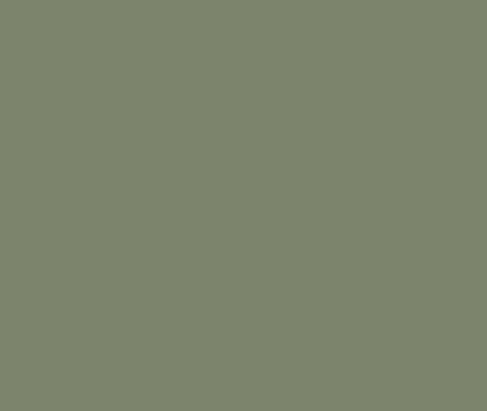 Standard Steel COLORBOND® Pale  Eucalypt®