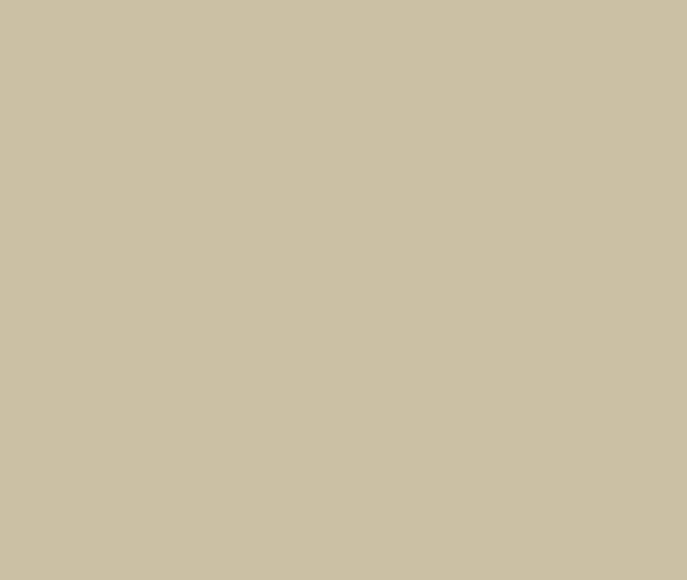 Standard Steel COLORBOND®  Paperbark®